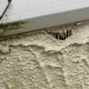 Park Home Maintenance